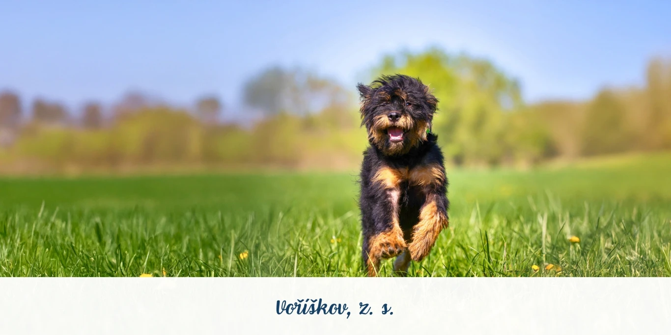 Voříškov z. s.