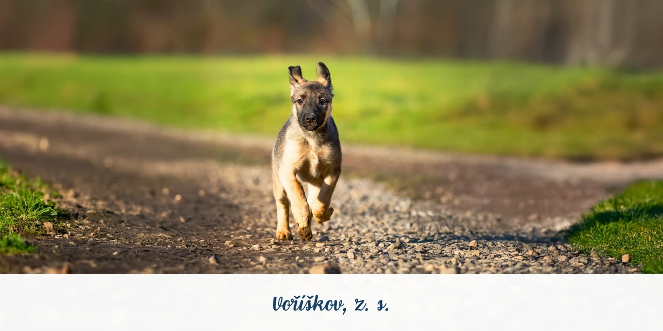 Voříškov z. s.